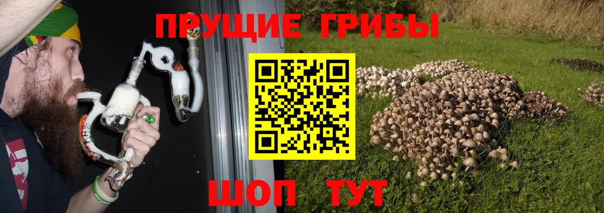 Псилоцибиновые грибы мухоморы Ишимбай