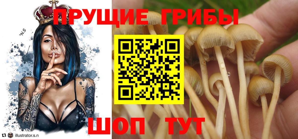 Ишимбай  Псилоцибиновые грибы Magic Shrooms  Галлюциногенные грибы мухоморы  Вход с VPN 